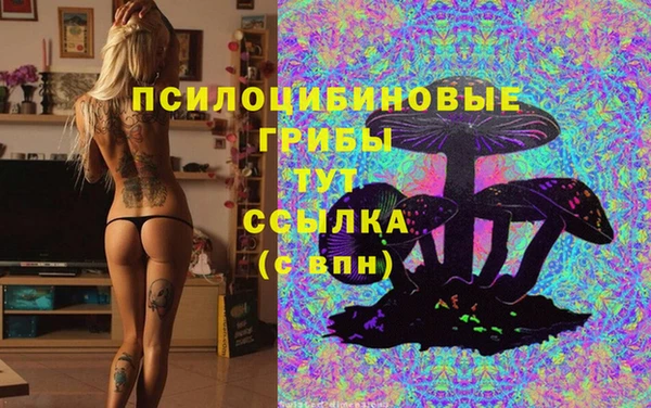 бошки Верхний Тагил