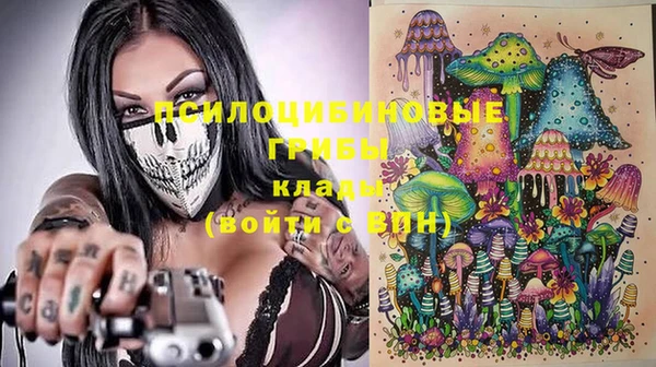 МДПВ Верея