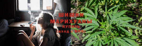 бошки Верхний Тагил