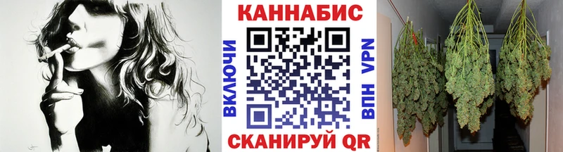 Бошки марихуана OG Kush Каменногорск