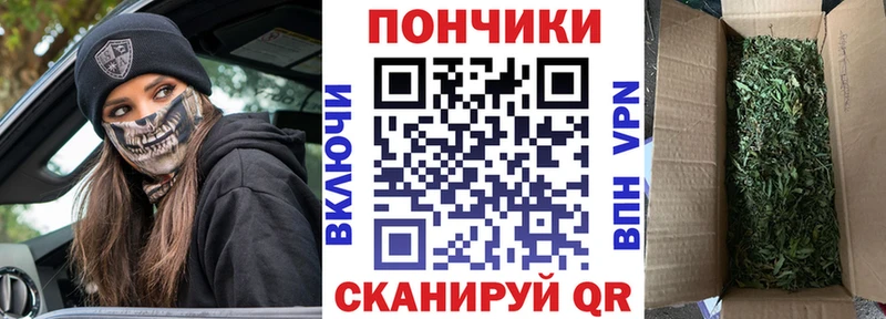Купить  Каменногорск  Каннабис Bruce Banner 
